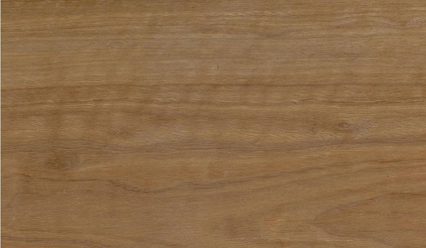 Spotted Gum Unseasoned Rough Sawn F14