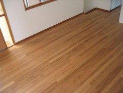 New England blackbutt 2