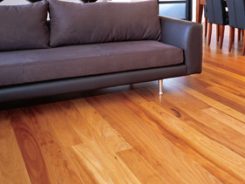 Blackbutt floor