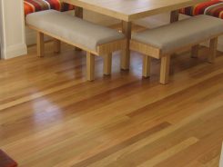 Northern Beech Northern Beech