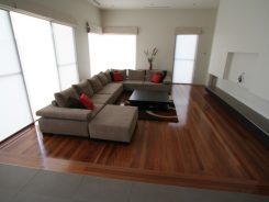 brushbox-3 brushbox-3