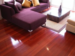 red-gum (2) red-gum (2)