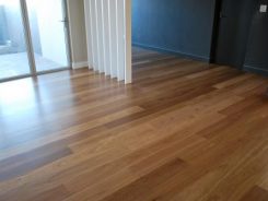 tallowwood 7 tallowwood 7