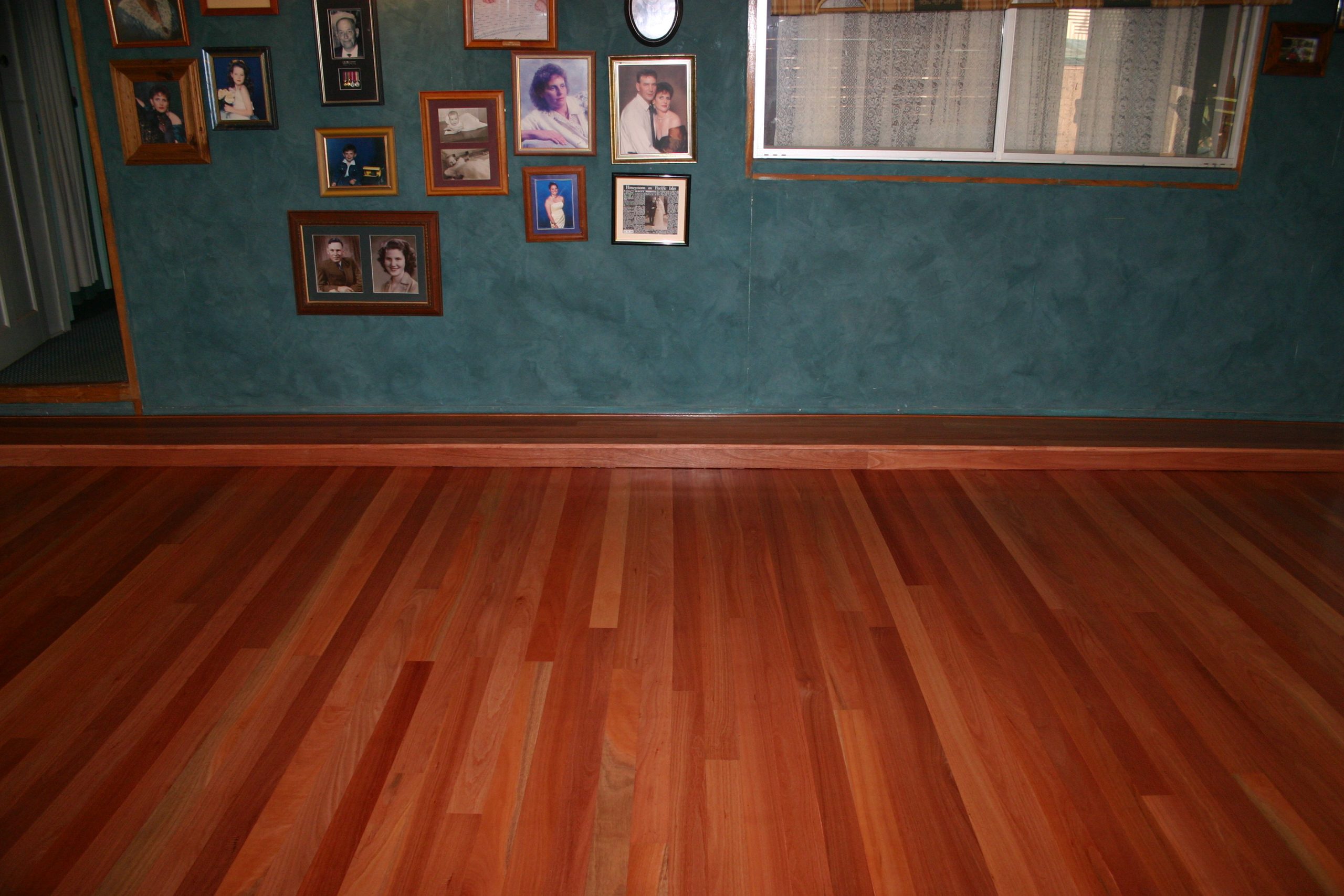 red ironbark 5