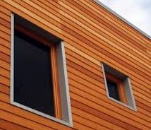 Blue Gum - Cladding