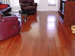 Blue Gum Flooring